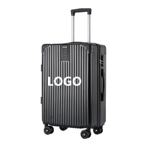 20" Travel Luggage